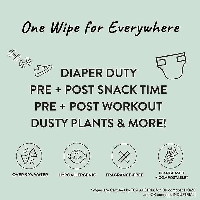 Wipes - The Honest Company Clean Conscious Wipes | 99% Water, Compostable, Plant-Based, Baby Wipes | Hypoallergenic, EWG Verified | Pattern Play, 576 Count